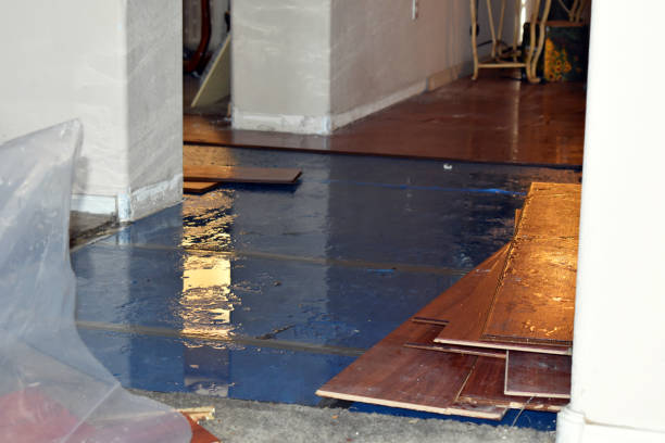 Professional Sewage Cleanup technician working in Camden, ME